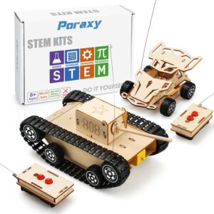 Remote Control Cars, Wooden Puzzles, Science Experiment Model Kits